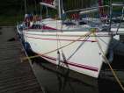 Solina