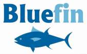 www.bluefin.pl